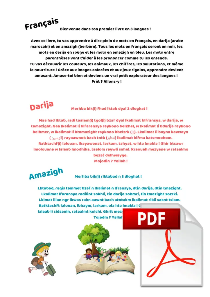 WhatsApp Image 2025-08-13 à 19.09.08_fc60928c.webp